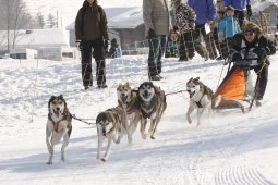 Lenk 2012 SM
